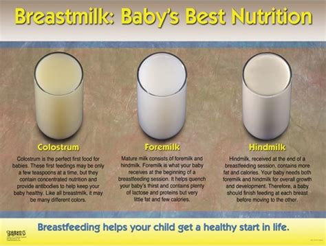 when does colostrum start leaking|Understanding lactation: Signs your milk is coming in during。